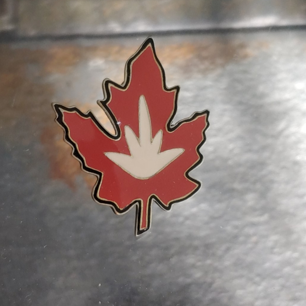 🍁Gap fall leaf tac pin.